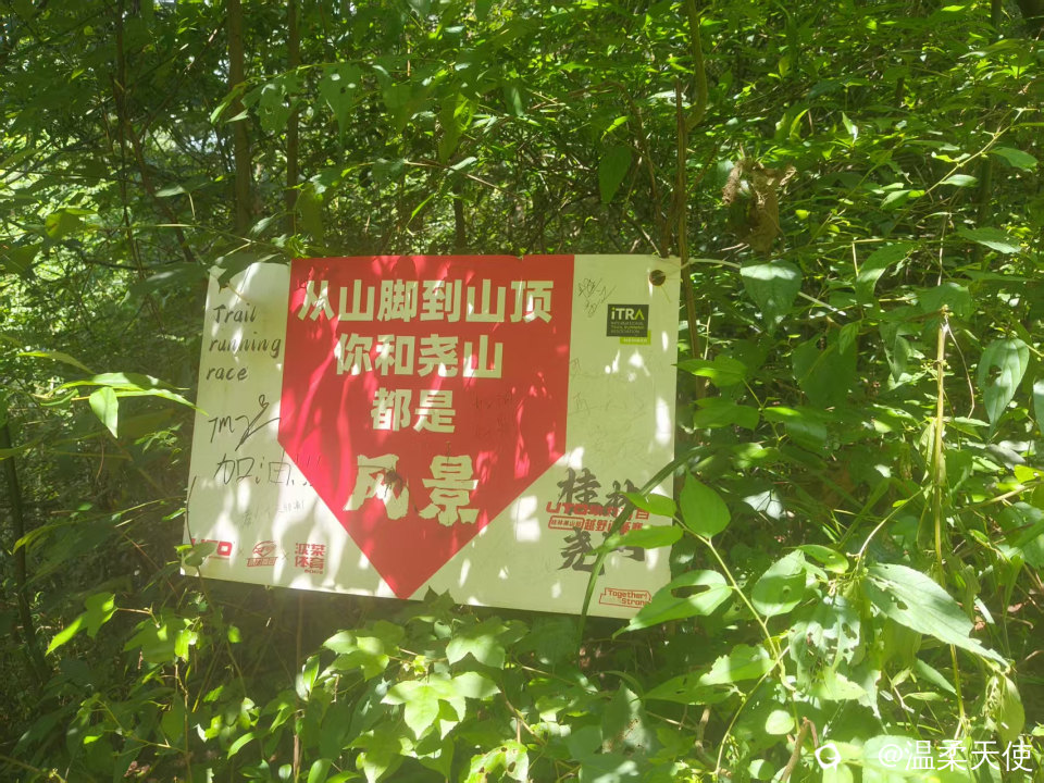 微信图片_20260726171123_10_10.jpg