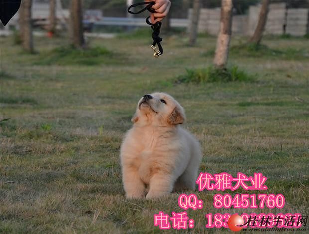 	 ��ë��Ȯ ����������ë �Ǽܴ�ë���� ���ֽ�ë