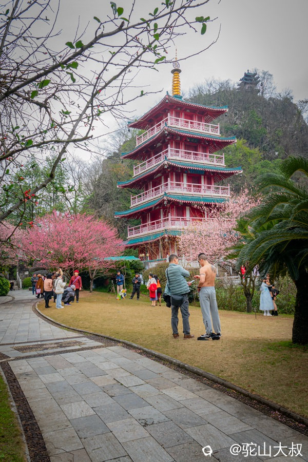 DSC05481-0_副本.jpg