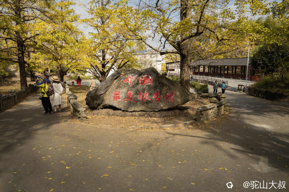 DSC04286-0 - 副本.jpg