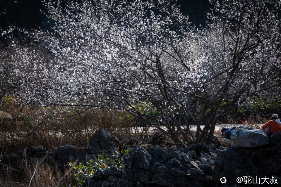 DSC04857-0 - 副本.jpg