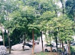 ��ɽ��·10�Ž�ʦ��Ԣ  С����88.39ƽ