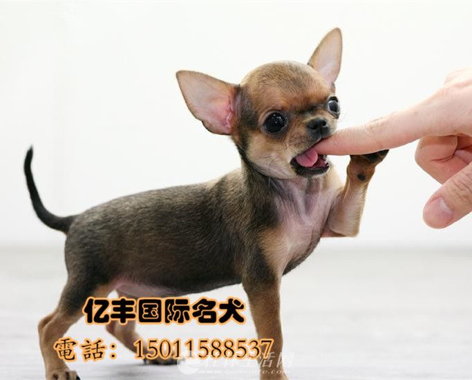 ���ۼ����� ����������������