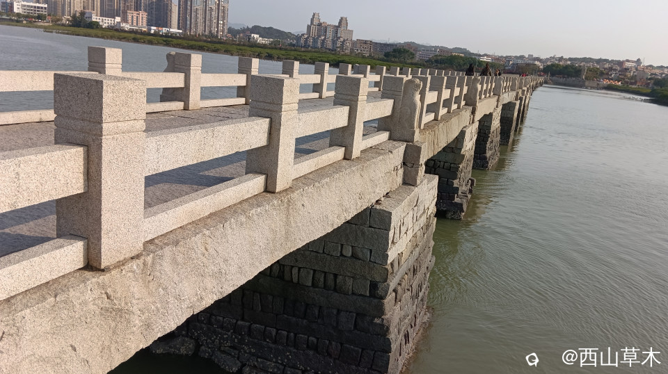 背潮面桥墩1.jpg