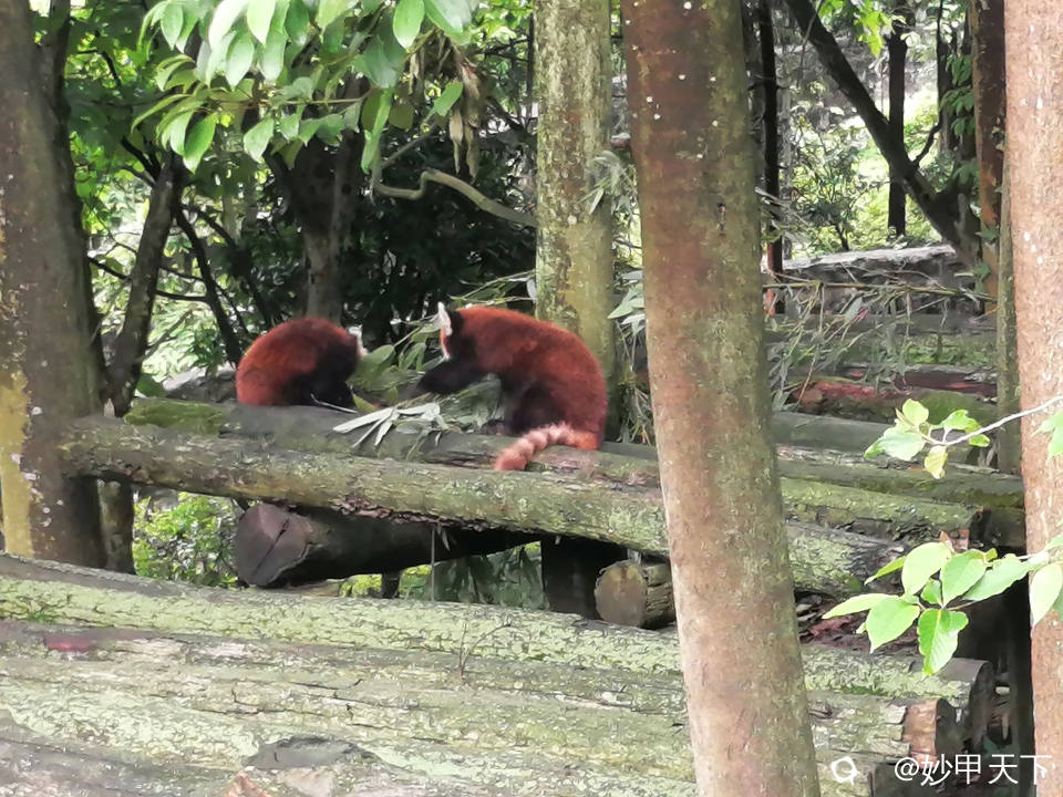 IMG_20230522_120834 (2).jpg