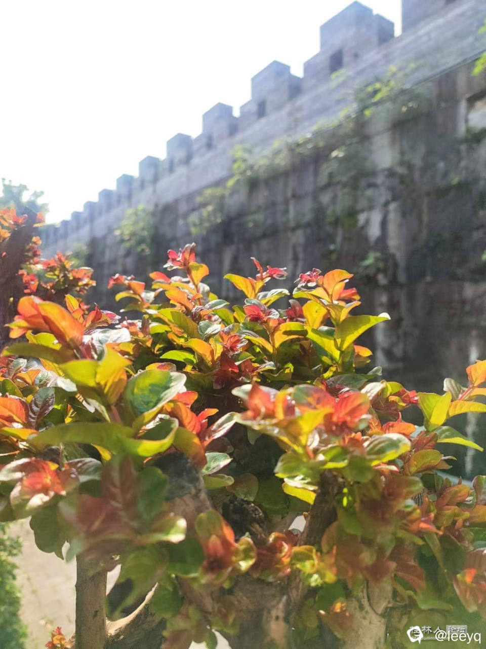 微信图片_20240409101455.jpg