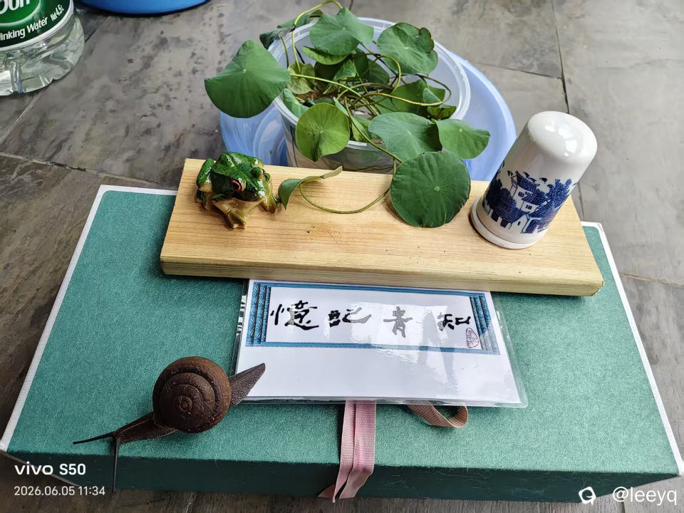 微信图片_20260605123620_174_117.jpg