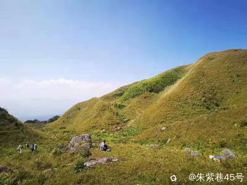 Image_1727607858500.jpg