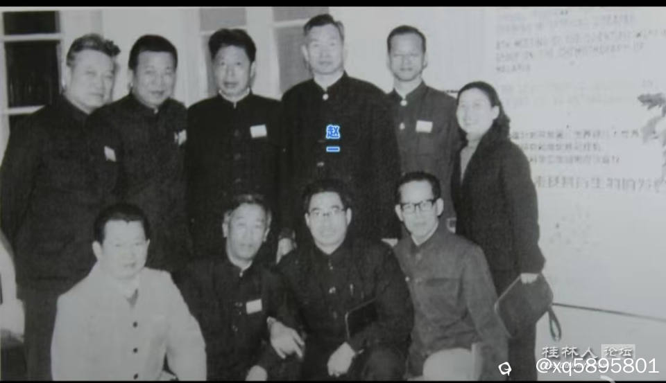 青蒿素研究协作小组