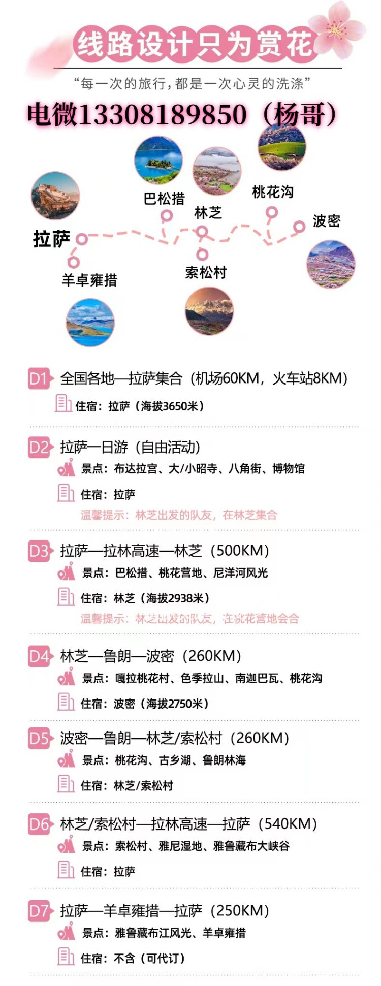 3月桃花线3.jpg