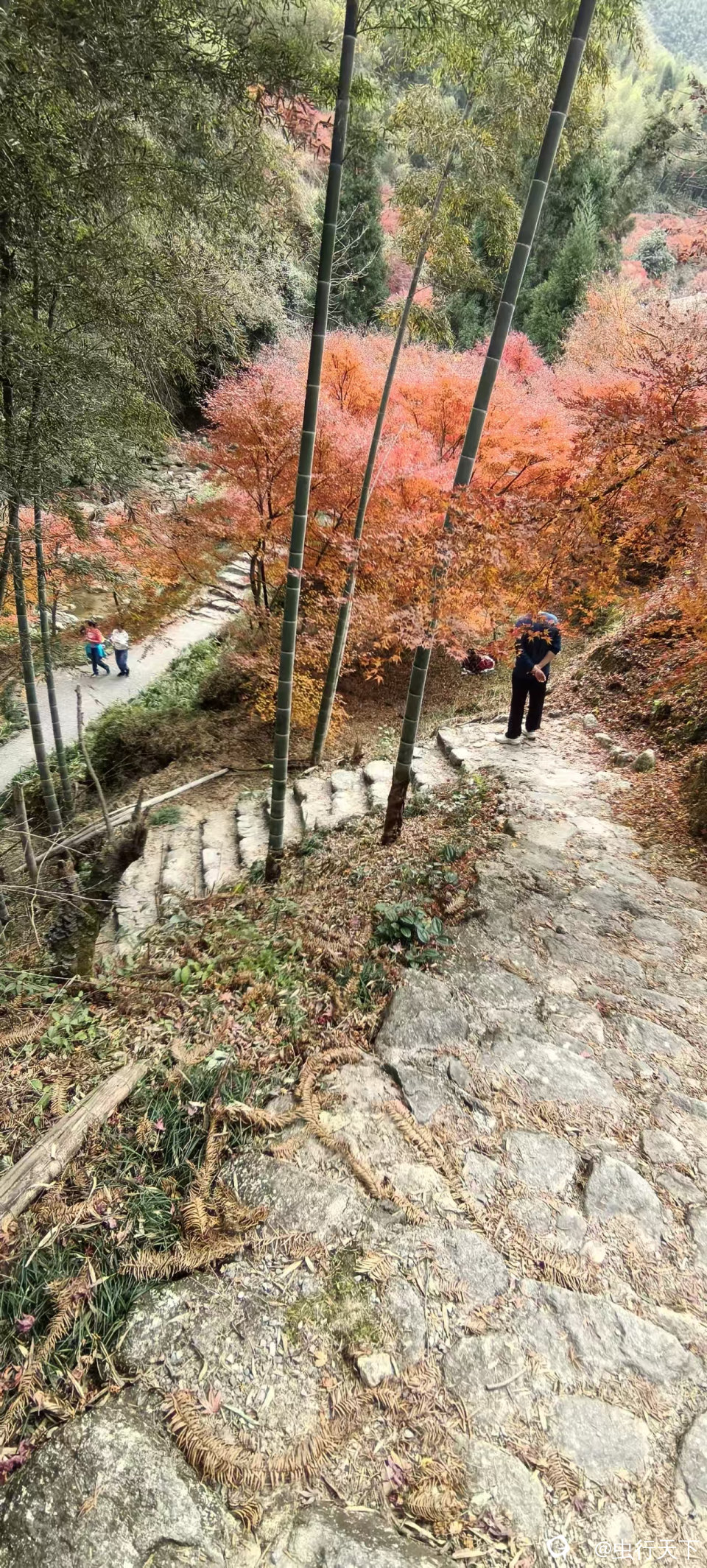 微信图片_20251201160956_227_88.jpg