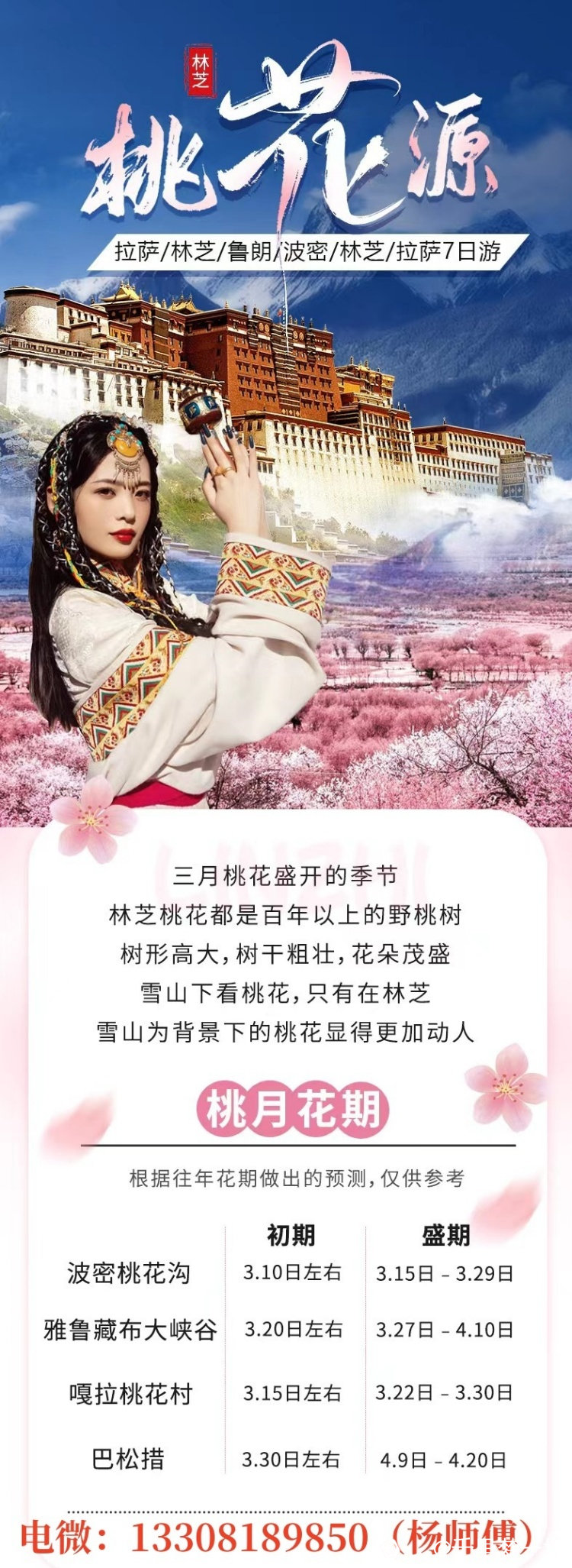 3月桃花线2.jpg