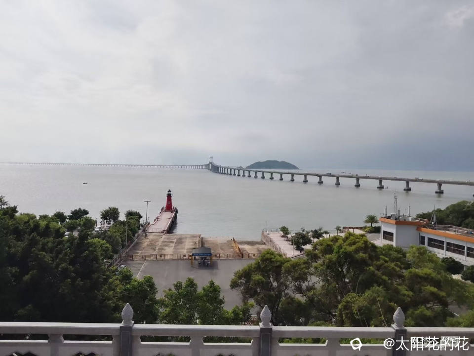 Image_1728107392878.jpg