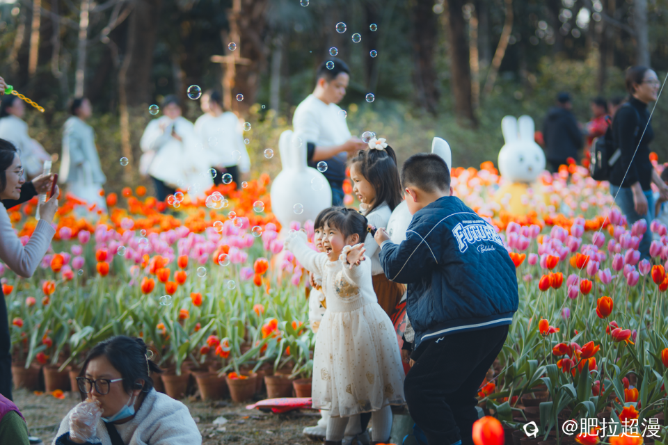 DSC04058.png
