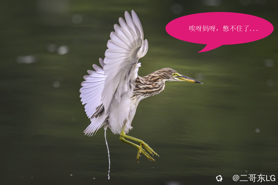 唉呀妈呀快闪开急急急 (2).jpg