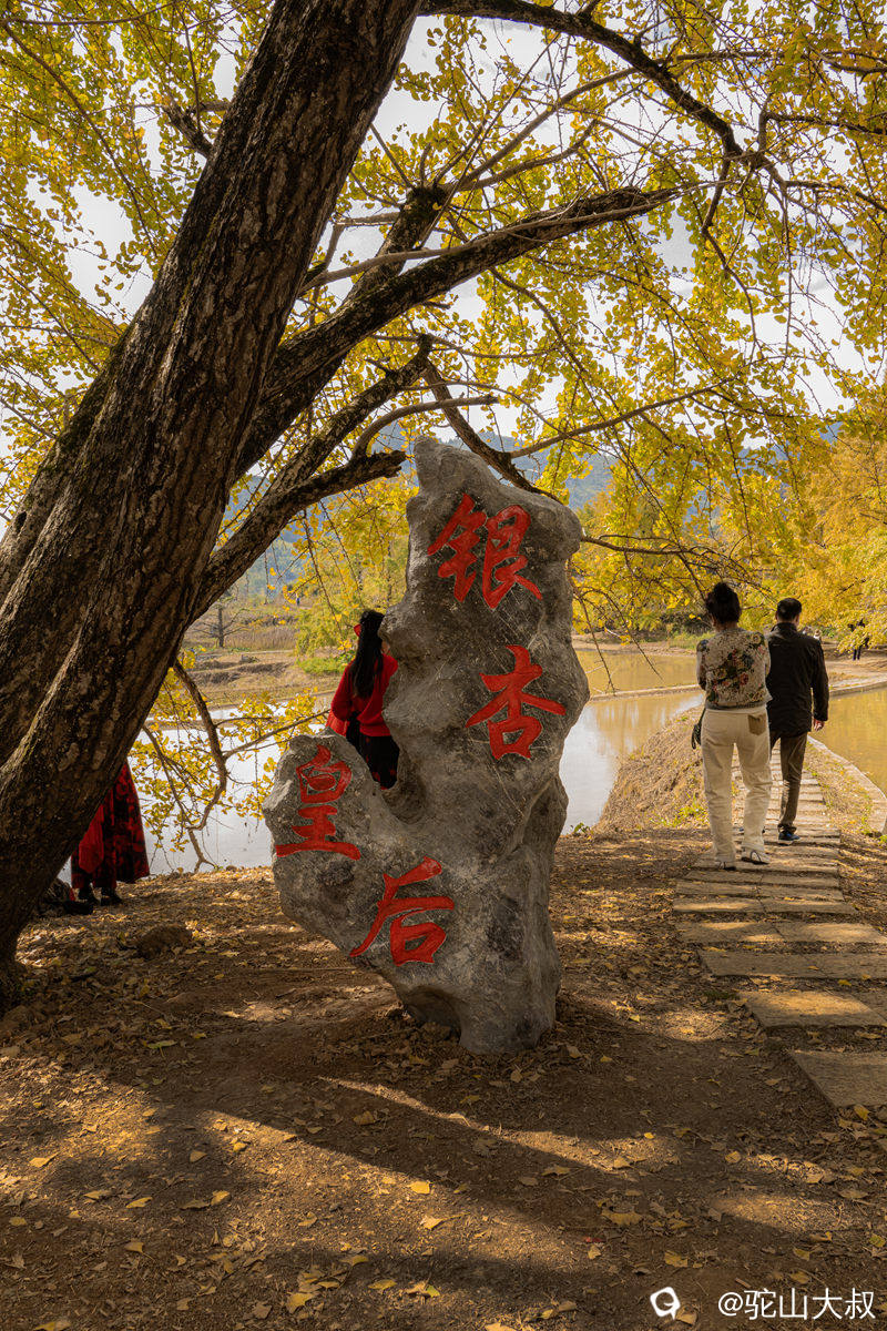 DSC04098-0 - 副本.jpg