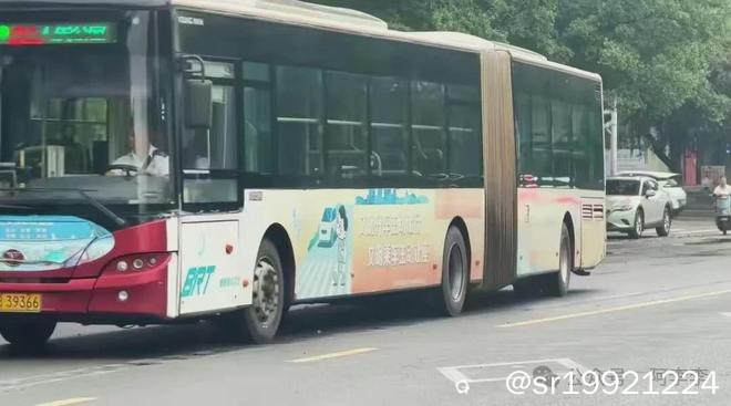 4620.jpg