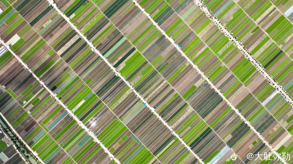 DJI_0201.jpg