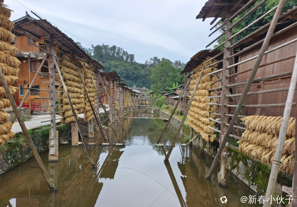 侗族人的禾架子