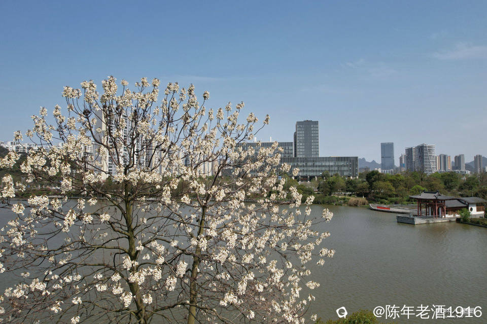 DJI_0973-01_副本.jpg