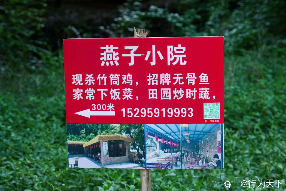 f1a4e10b-8817-c82d-4b2b-4a089d1ef655.jpg
