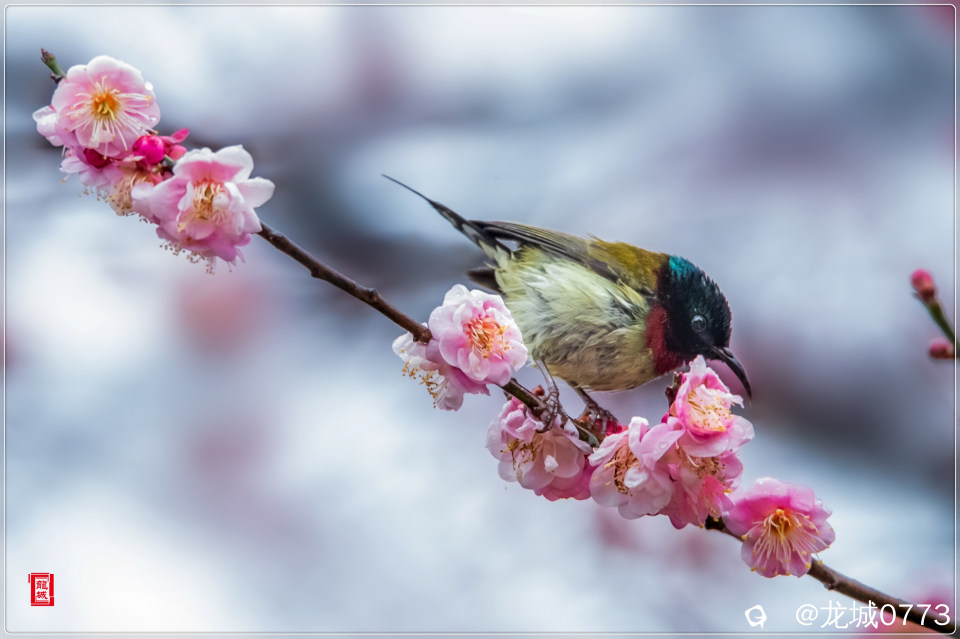 BG9I0839_副本.jpg