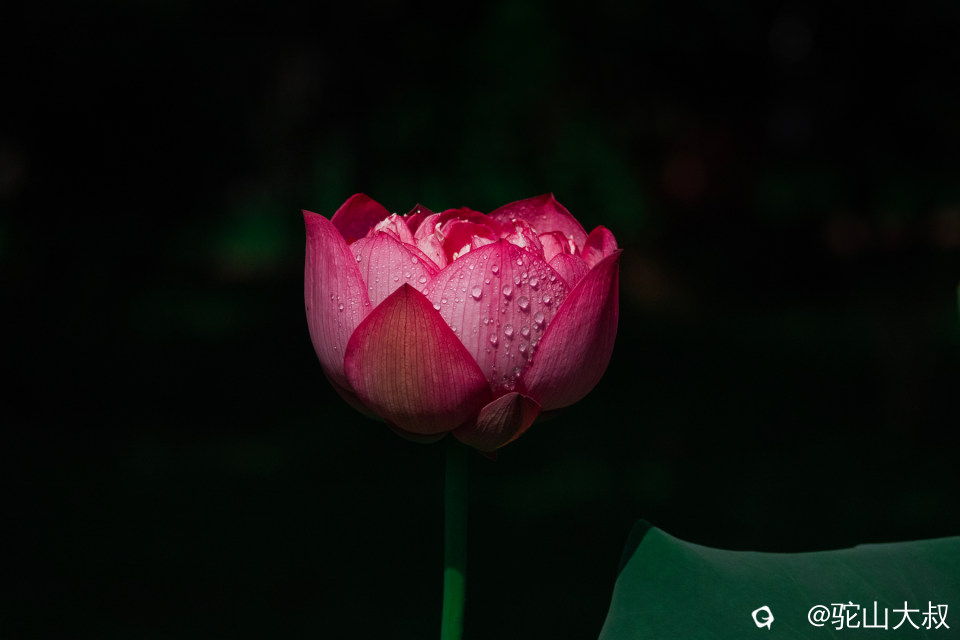 DSC04480-0 - 副本.jpg