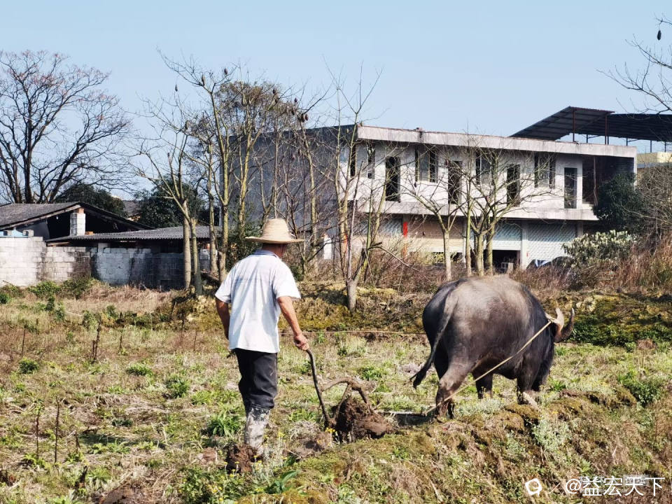 三月 农耕感怀 九陌绣画来，千畴铺锦开。 羡慕扶犁者，停荫路边槐。 农忙余闲看，白发摇首猜。 耕种君知晓  ...