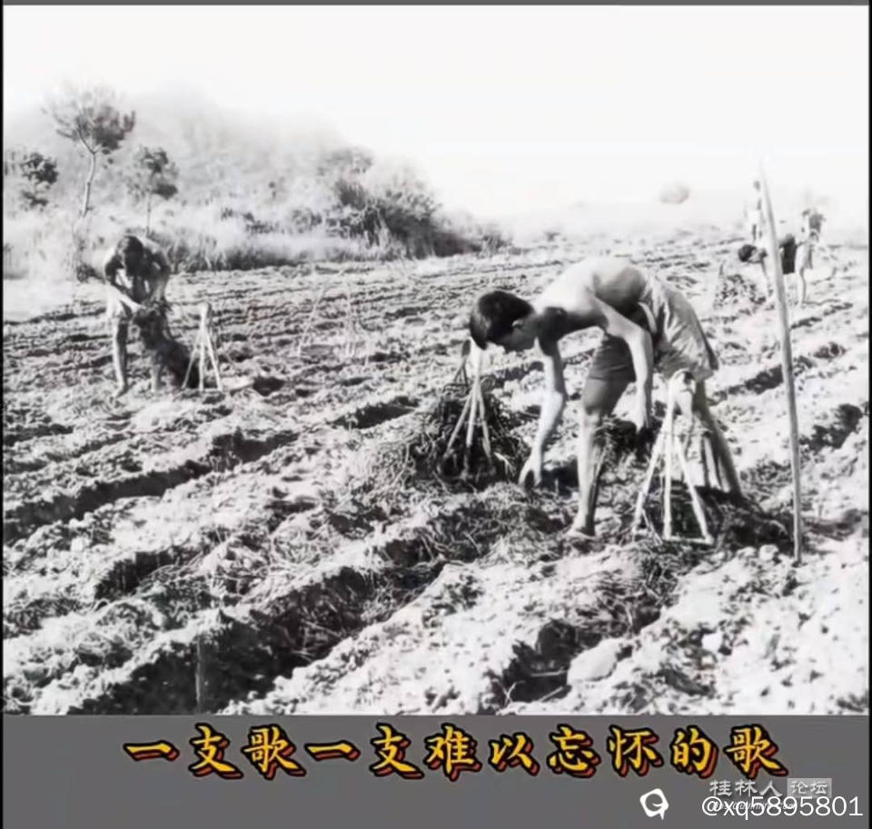 给土地施肥