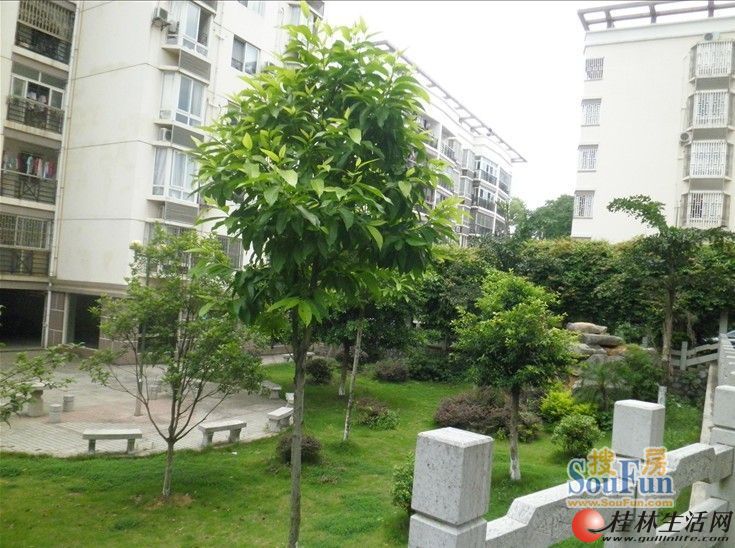 ����곤�ǻ�԰��װ3��2800/�� ������ �ҵ�Ҿ���ȫ