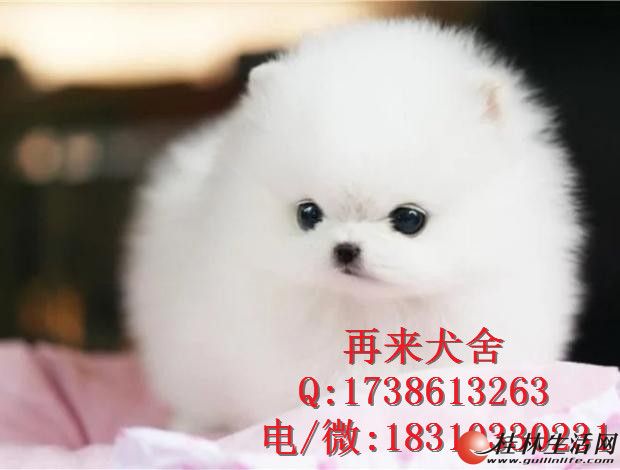 	 �������������ֲ�����Ȯ ���������岩�� ��ɫ���� ����ǩЭ��