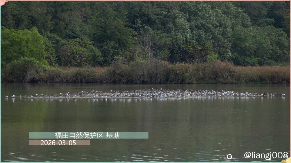 DSC07323_副本.jpg