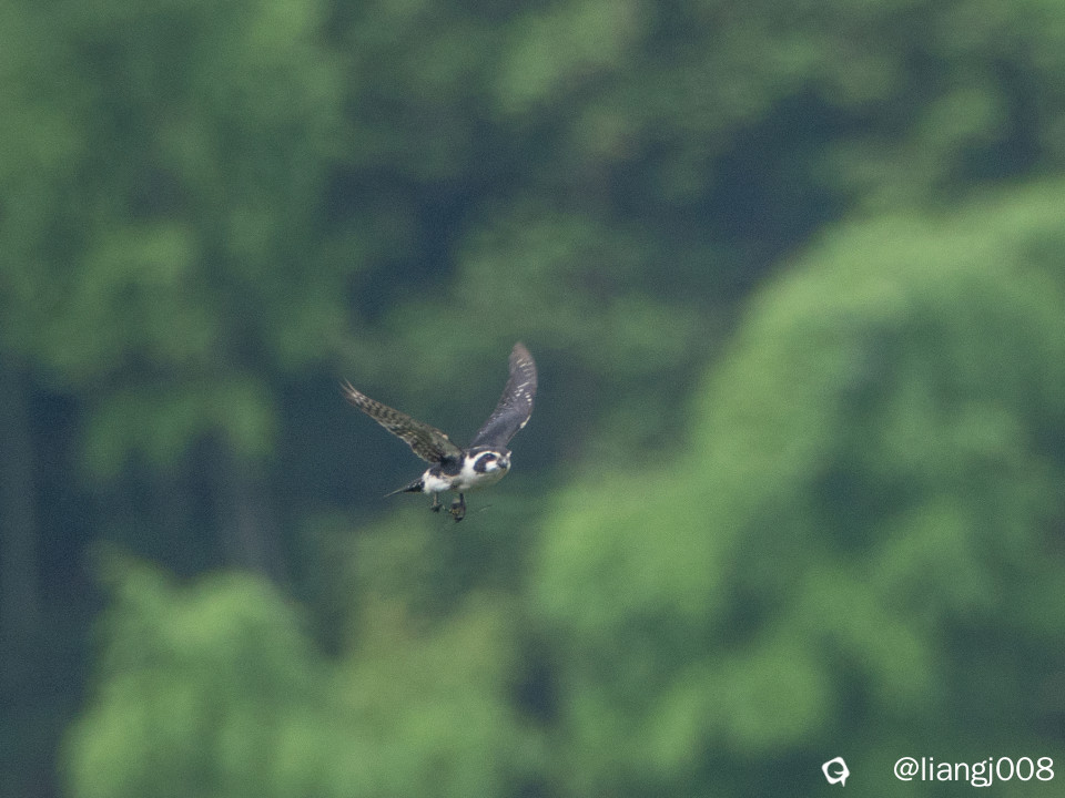 DSC00279_副本_副本.jpg