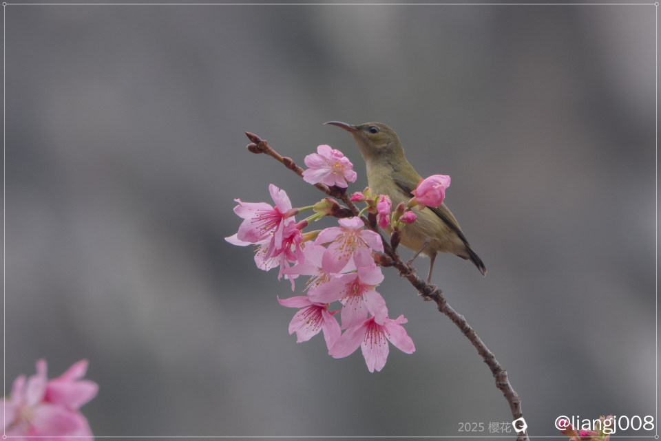 DSC07294_副本.jpg