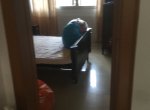 ���Ժ��������¥2��2������  800��/��