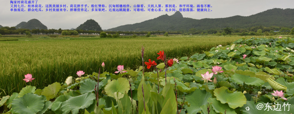 238_副本.jpg