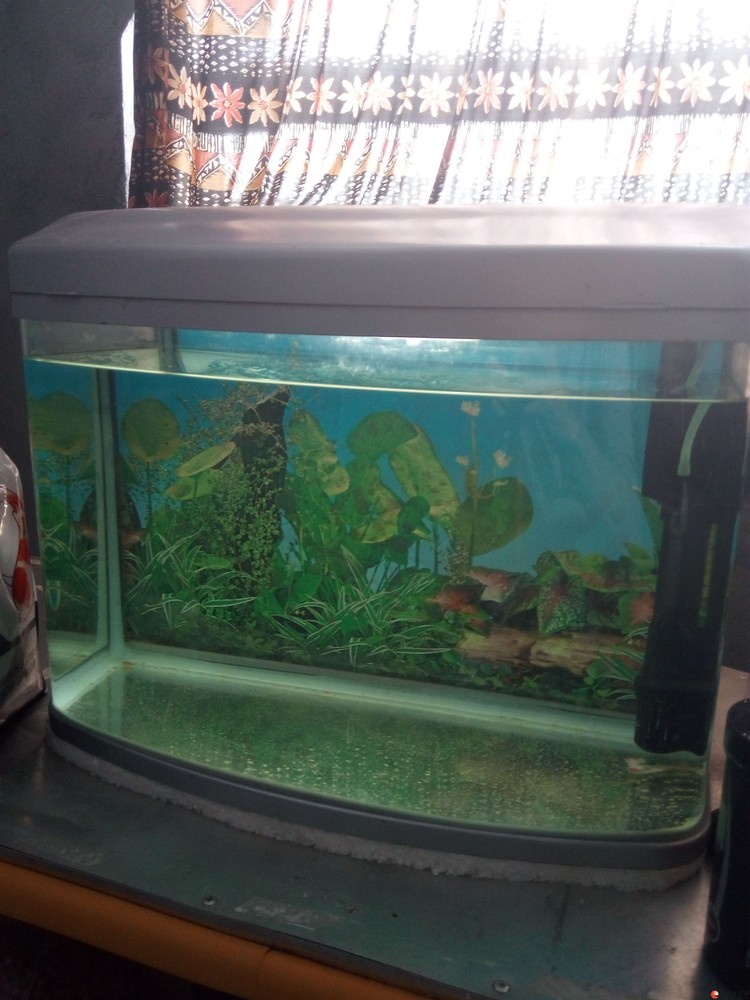 1�״�����ף�����0.5��С��1��