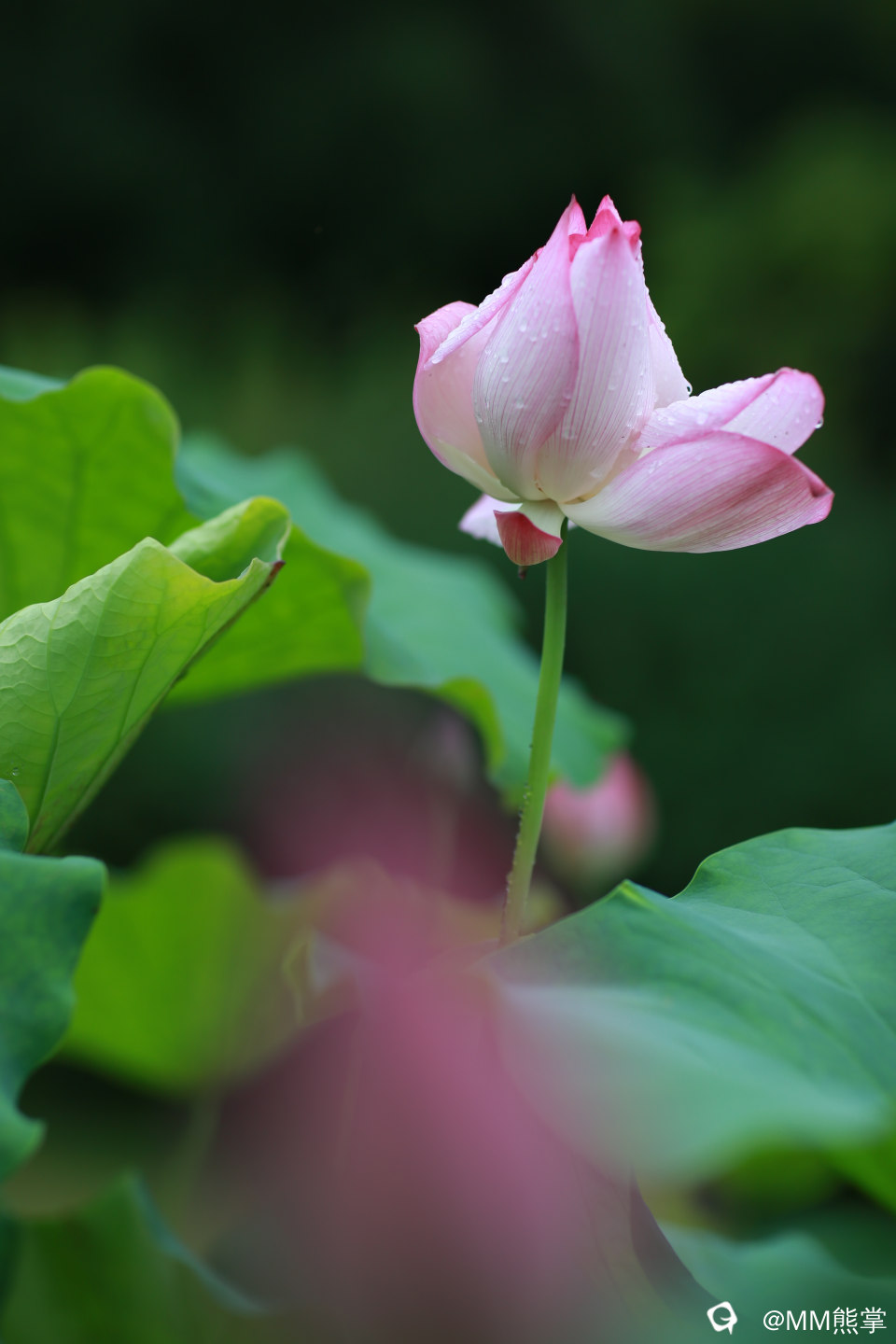 d06bdce9-8ccb-0842-4f1b-00e345878eda.jpg