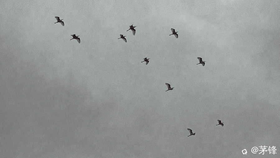 4-DSCF4818-1.jpg