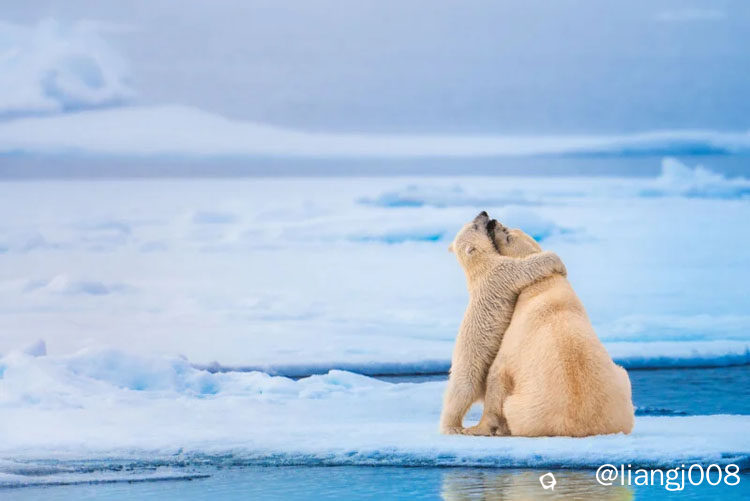 20260224_worldnaturephotographyawards_18.jpg