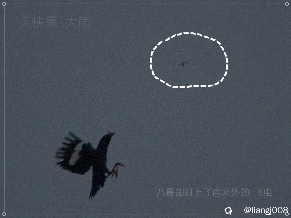 DSC04364_副本.jpg