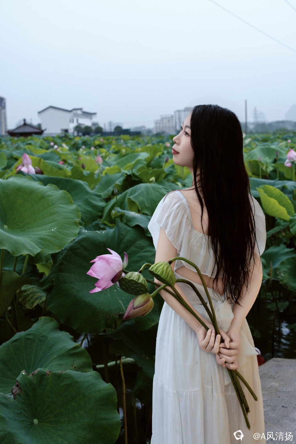 21098d95-f7d1-2c78-b0a9-1be44fd851df.jpg