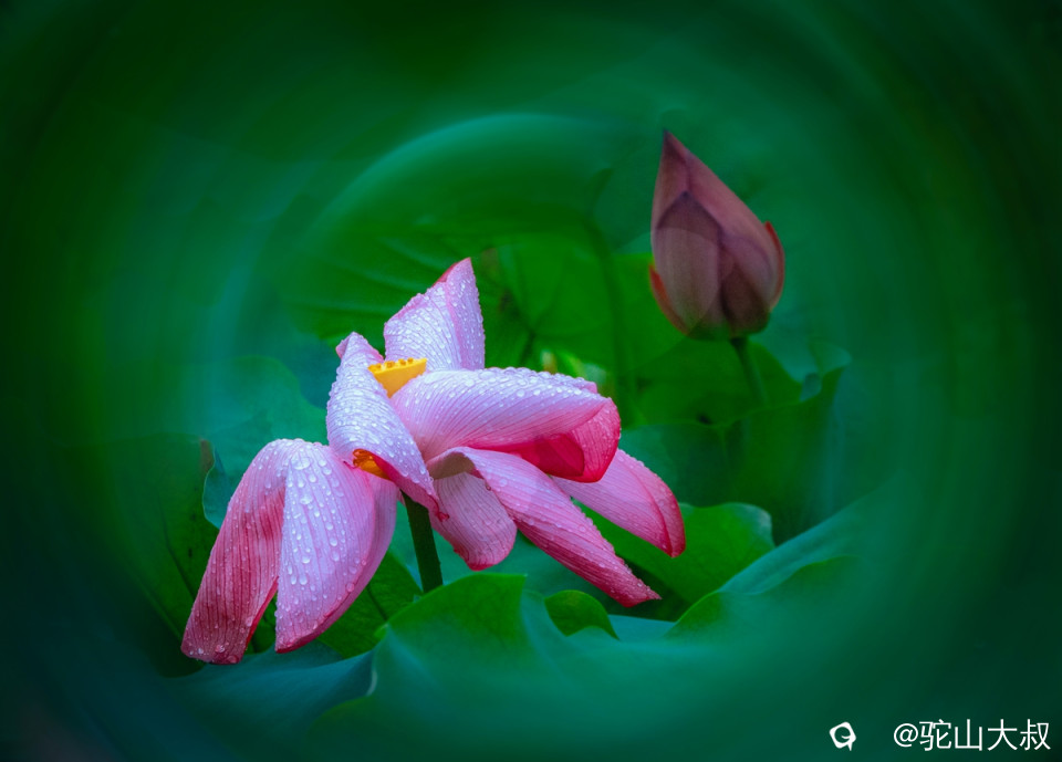 DSC09095-0 - 副本.jpg