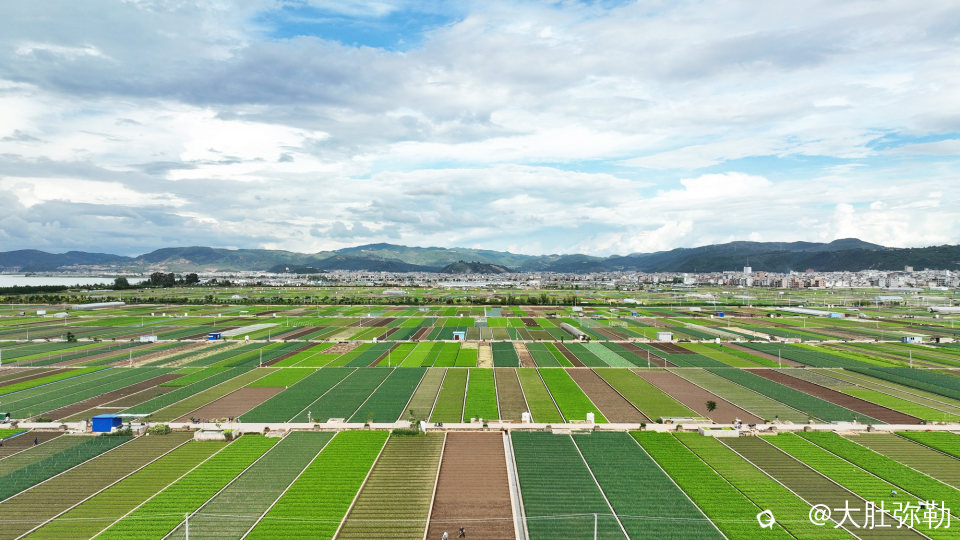 DJI_0223.jpg