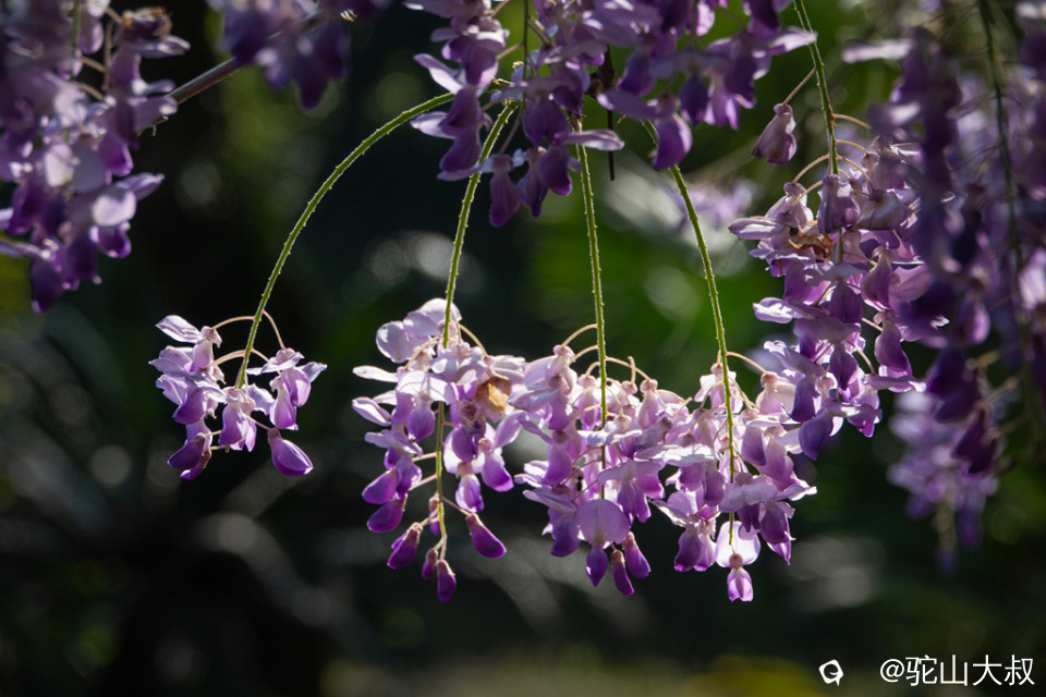 DSC01614-0 - 副本.jpg