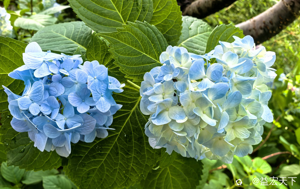 IMG_20260514_101827.jpg