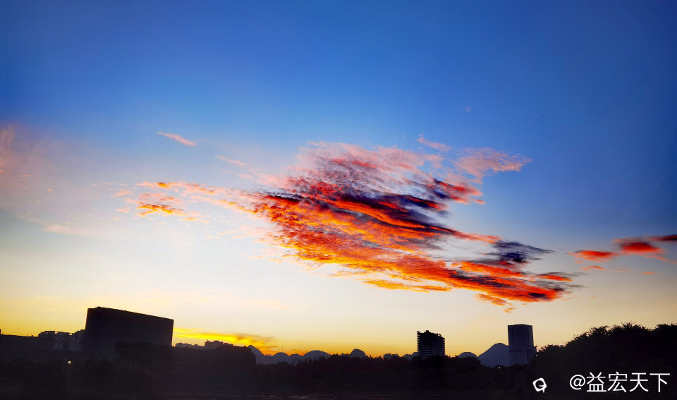 鱼跃水天