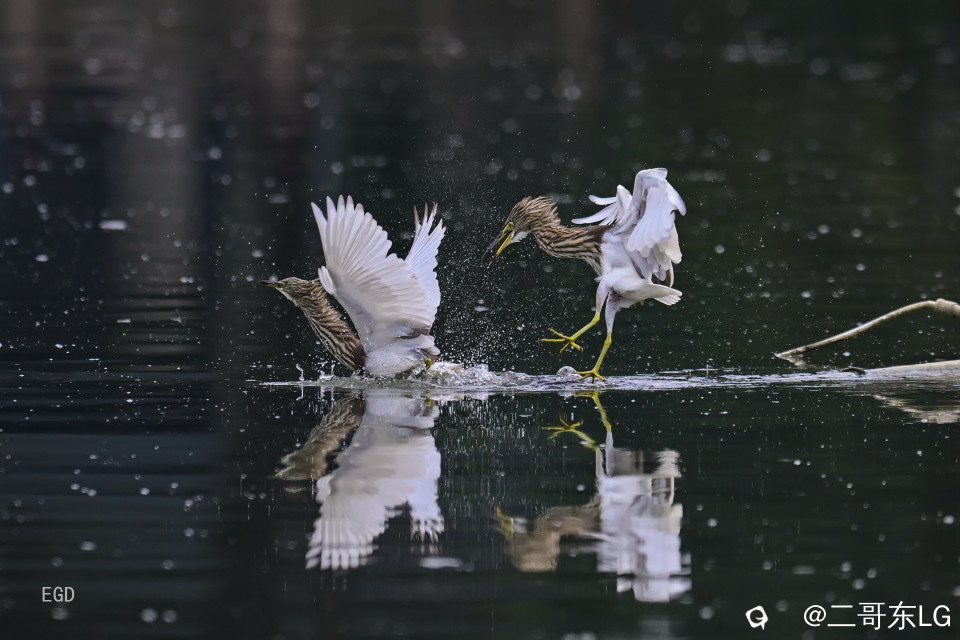 你瞅啥瞅你咋地 (9).jpg