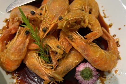 桂花有时，四季食庭我来了