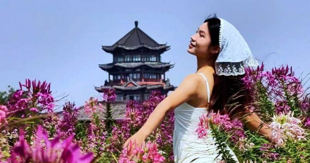 这片花海直接封神